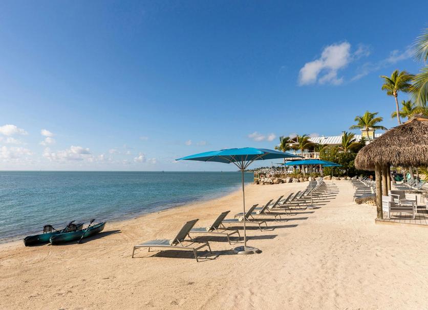 leonardo-30459-1725407-486050